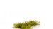 Gamers Grass Moss 2mm | Buy Online from The Home Crafters