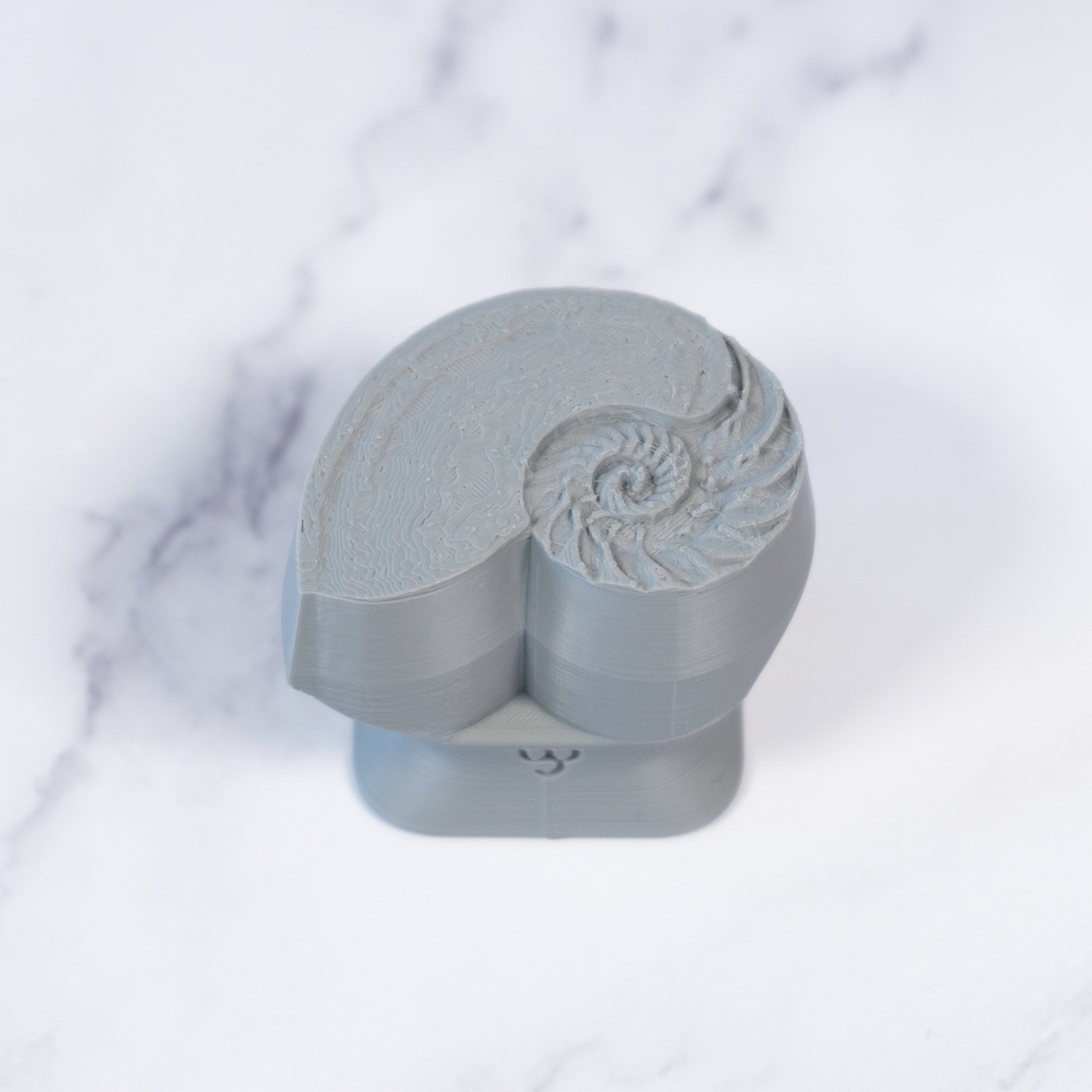 Nautilus Shell Stamp - Photo Textured - Style 1 | Buy Online from The Home Crafters