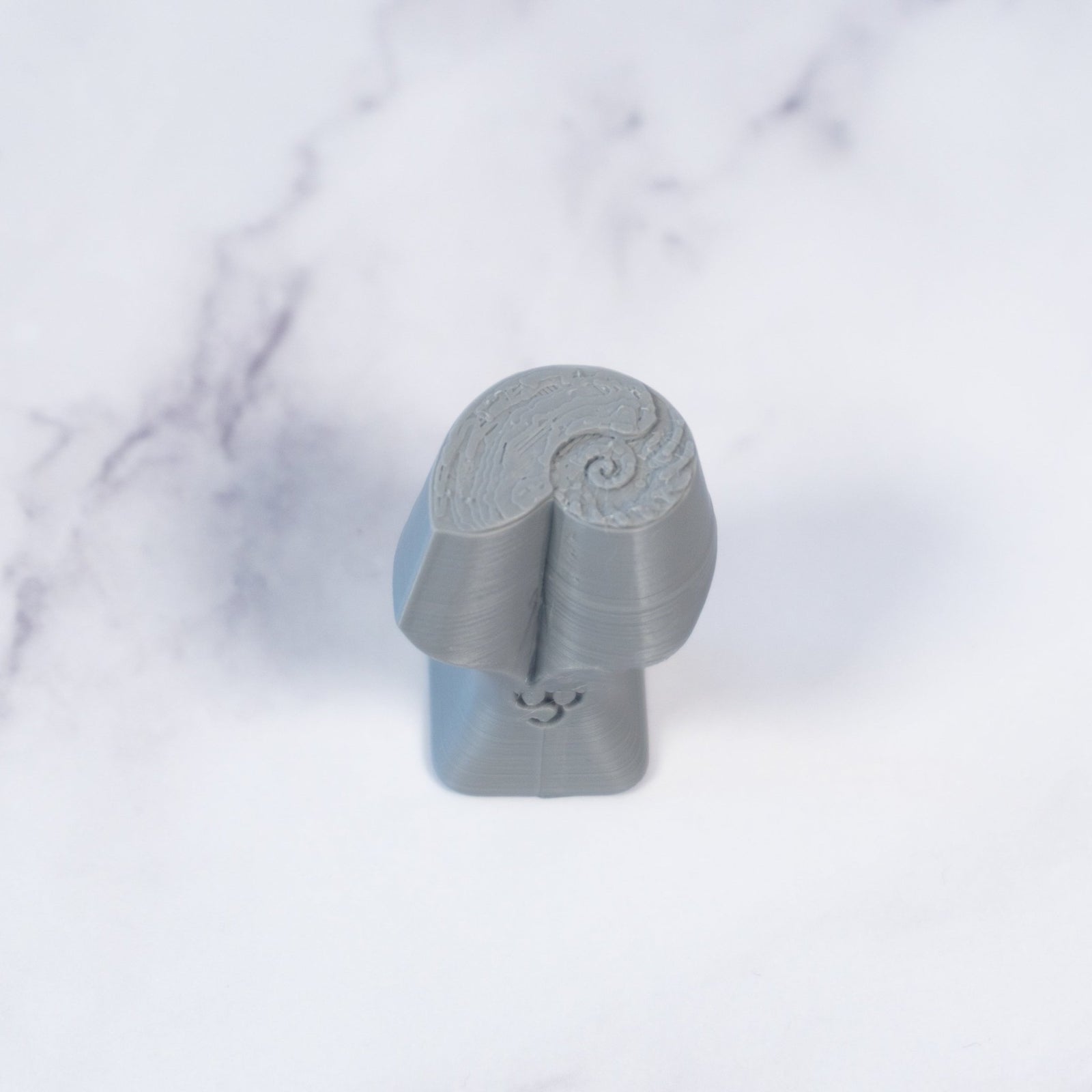Nautilus Shell Stamp - Photo Textured - Style 1 | Buy Online from The Home Crafters