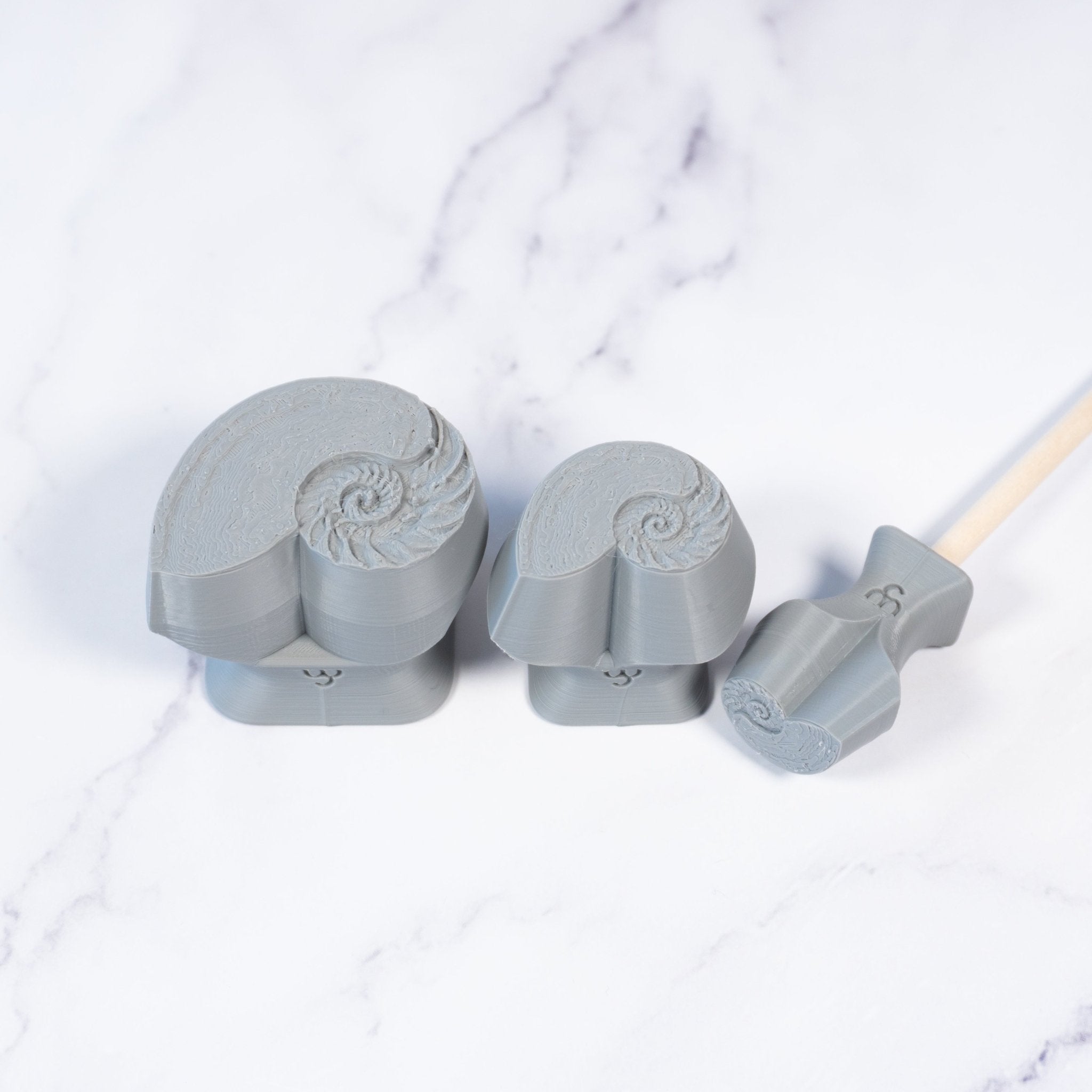 Nautilus Shell Stamp - Photo Textured - Style 1 | Buy Online from The Home Crafters