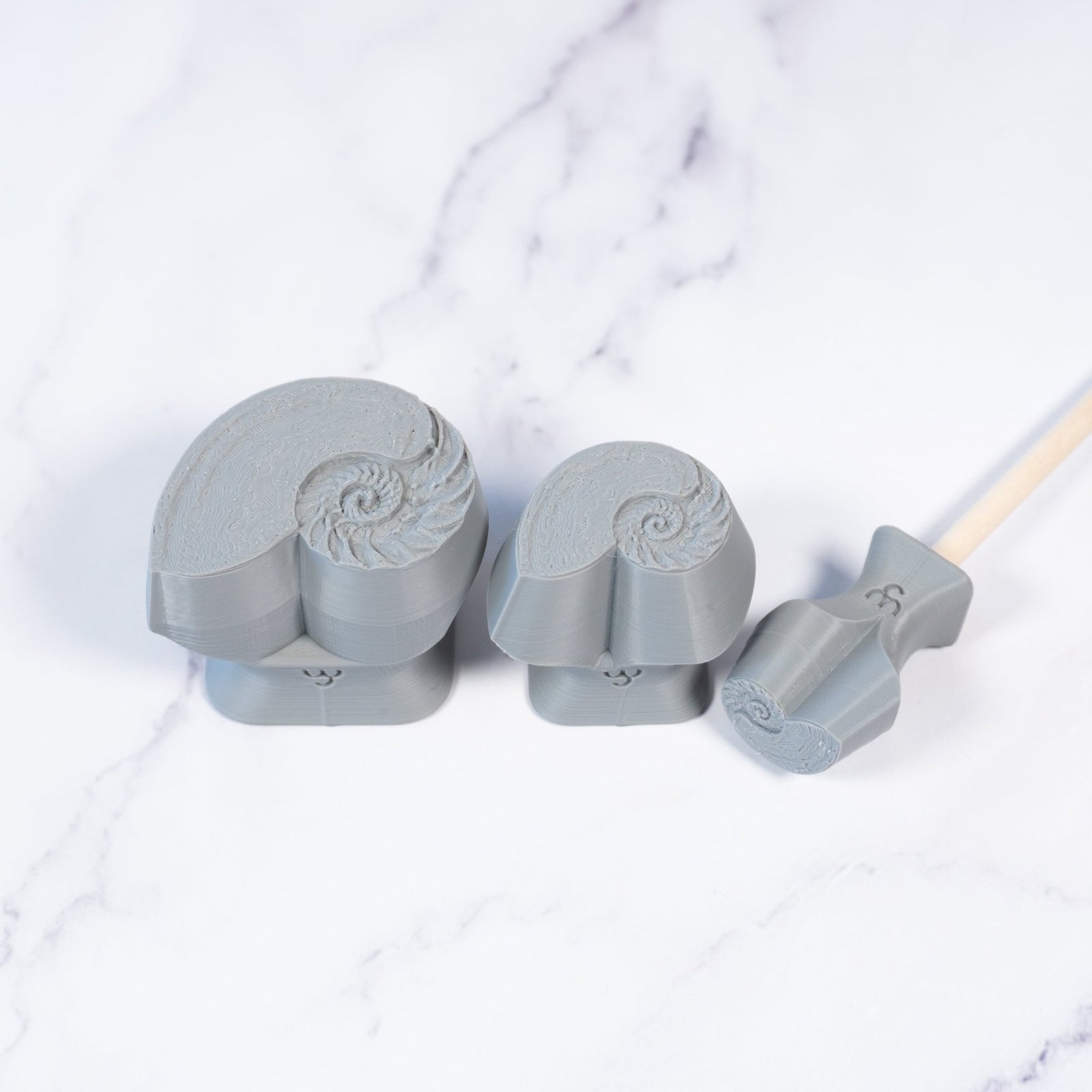 Nautilus Shell Stamp - Photo Textured - Style 1 | Buy Online from The Home Crafters