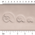 Nautilus Shell Stamp - Photo Textured - Style 1 | Buy Online from The Home Crafters