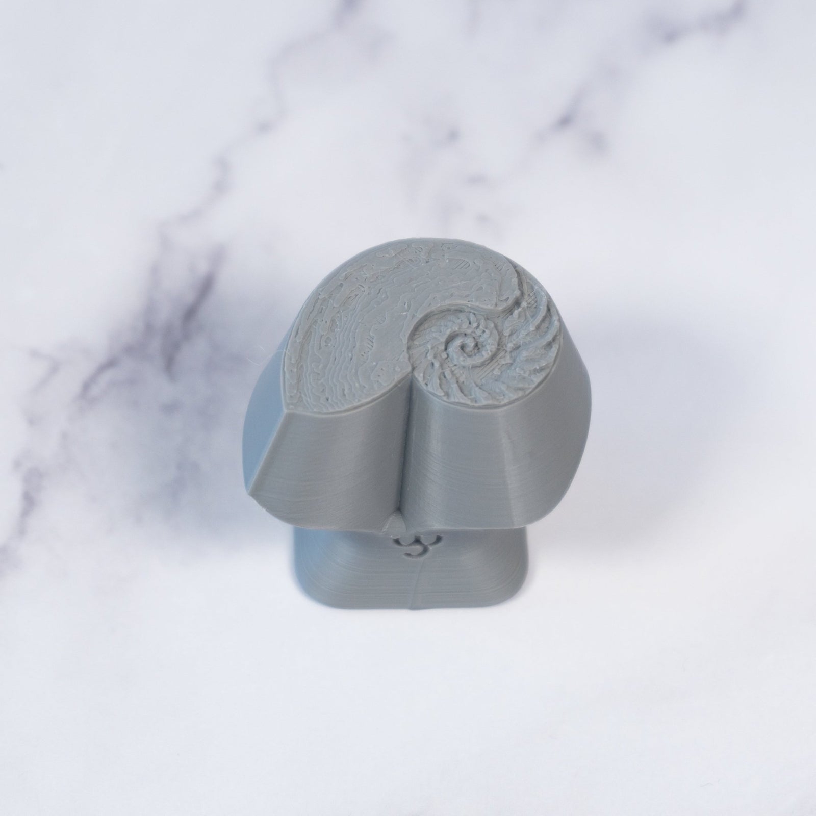 Nautilus Shell Stamp - Photo Textured - Style 1 | Buy Online from The Home Crafters