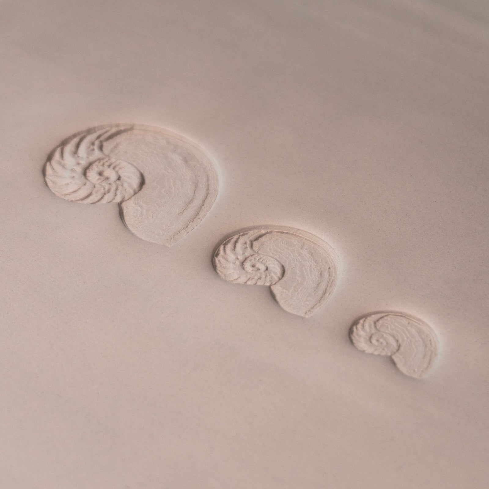 Nautilus Shell Stamp - Photo Textured - Style 1 | Buy Online from The Home Crafters