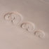 Nautilus Shell Stamp - Photo Textured - Style 1 | Buy Online from The Home Crafters