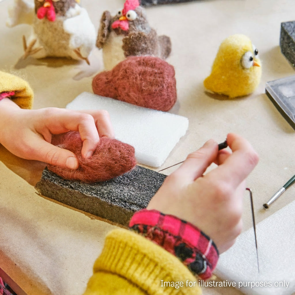 Kids Craft Workshops: Needle Felting (age 12+) - Friday 7th August