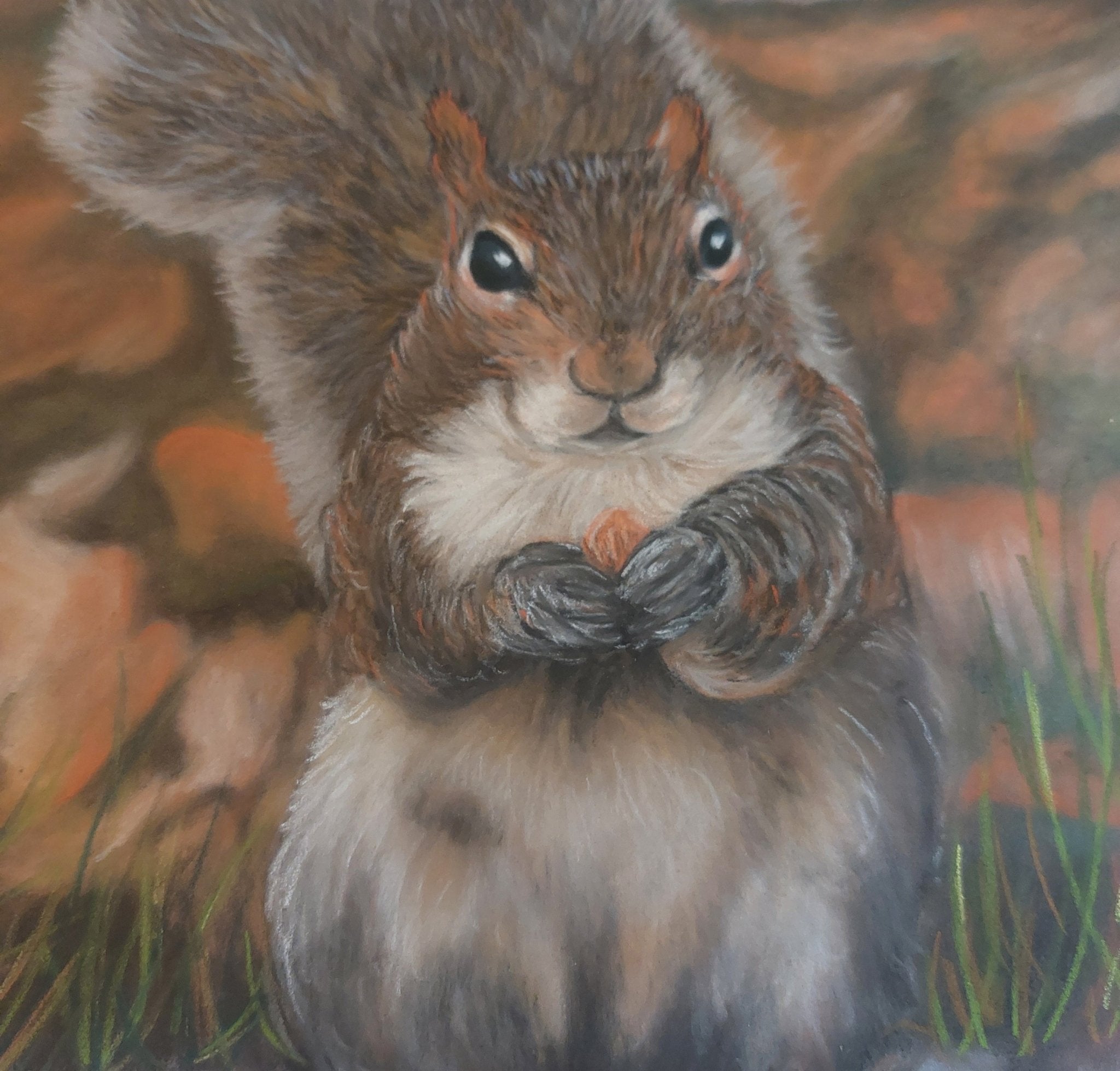 Fairy Fae Greetings Card - Nuts | Buy Online from The Home Crafters