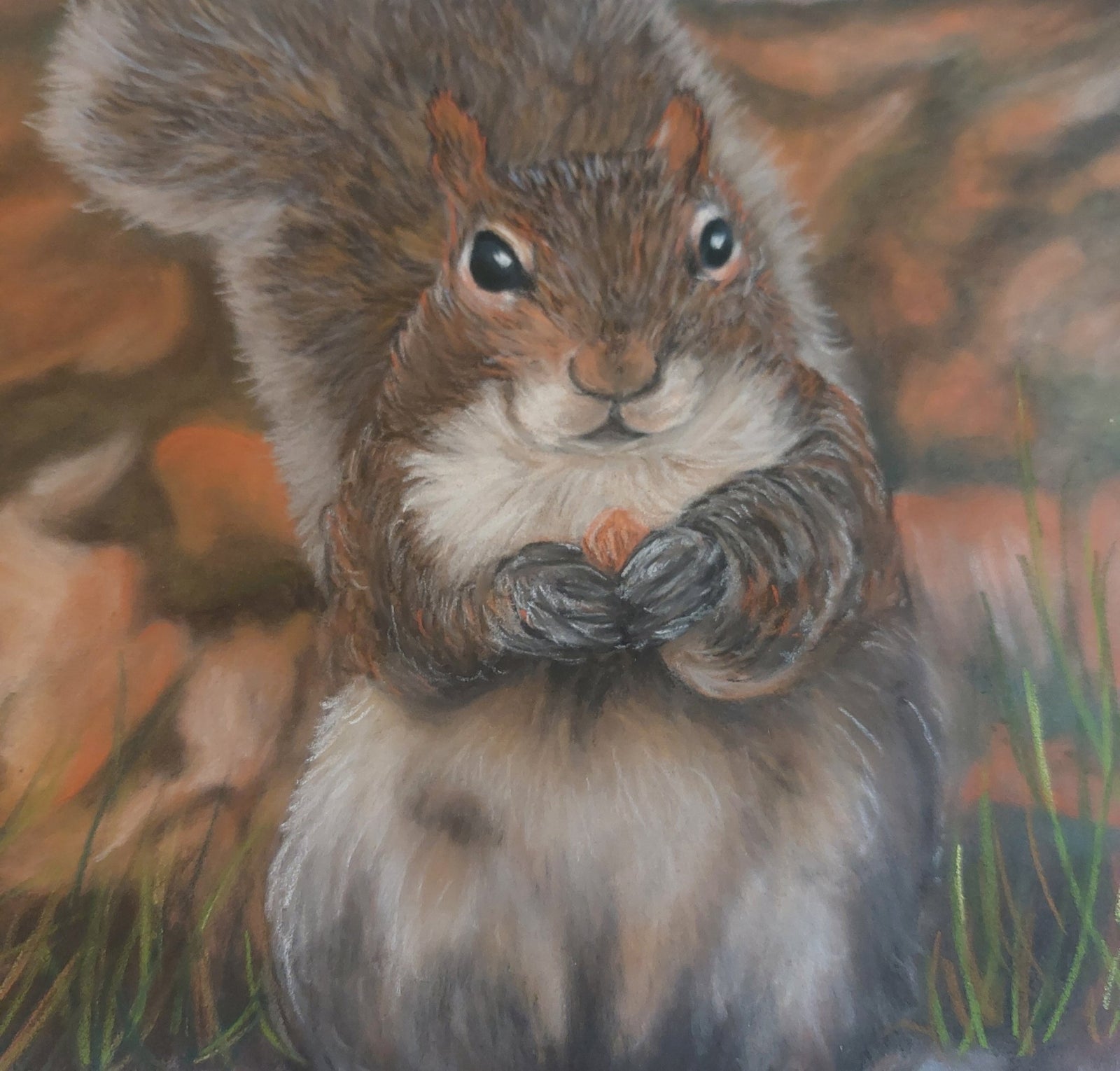 Fairy Fae Greetings Card - Nuts | Buy Online from The Home Crafters