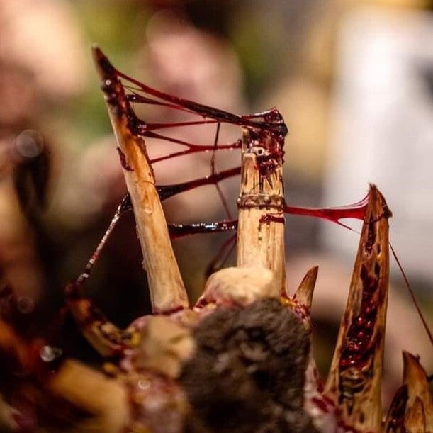 Dirty Down Gore – 15ml | Buy Online from The Home Crafters