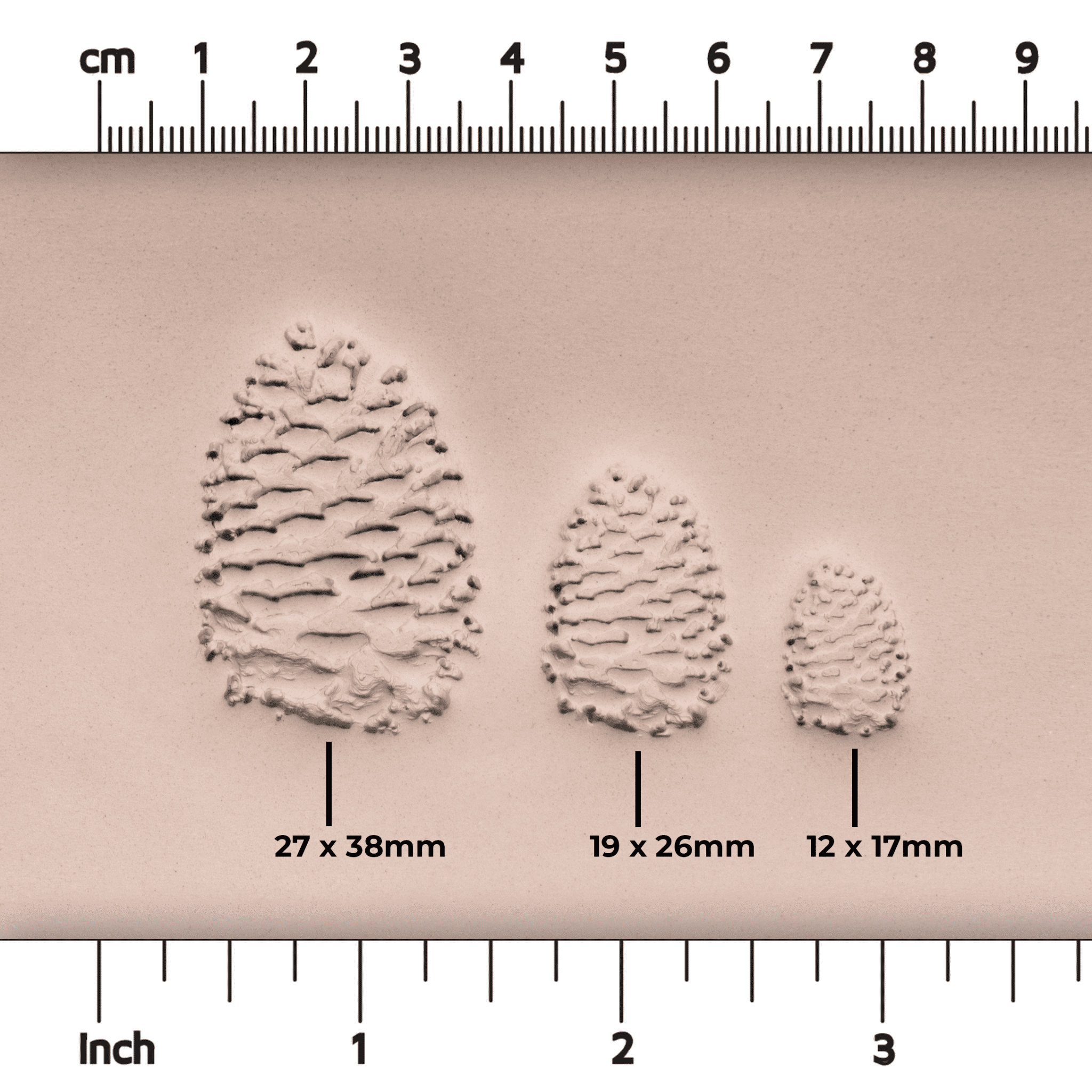 Pinecone Stamp - Photo Textured - Style 1 | Buy Online from The Home Crafters