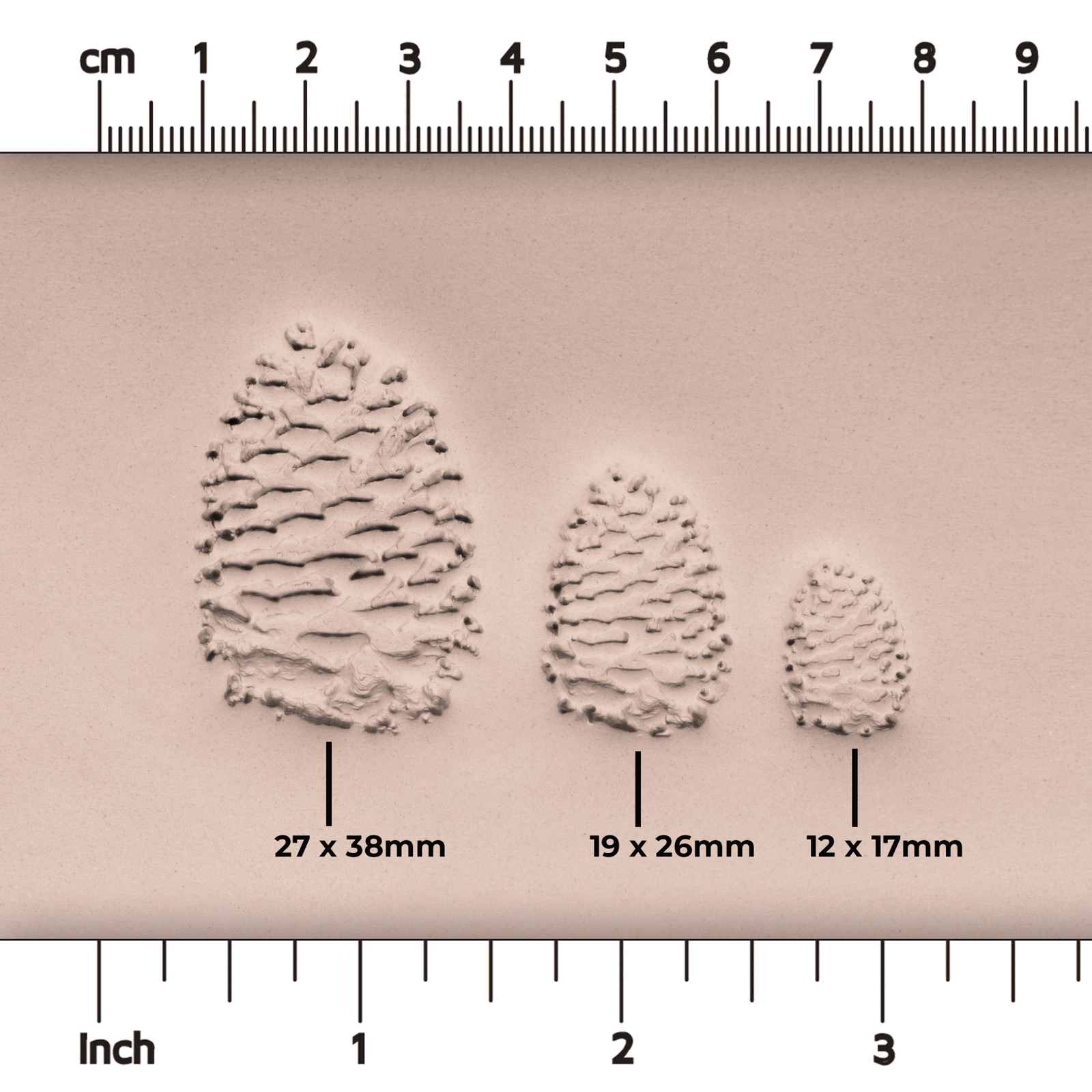 Pinecone Stamp - Photo Textured - Style 1 | Buy Online from The Home Crafters