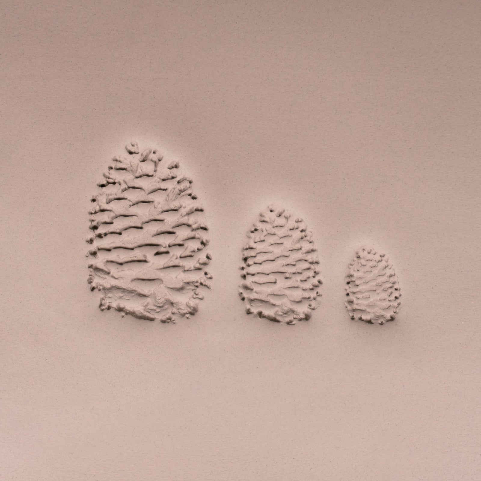 Pinecone Stamp - Photo Textured - Style 1 | Buy Online from The Home Crafters
