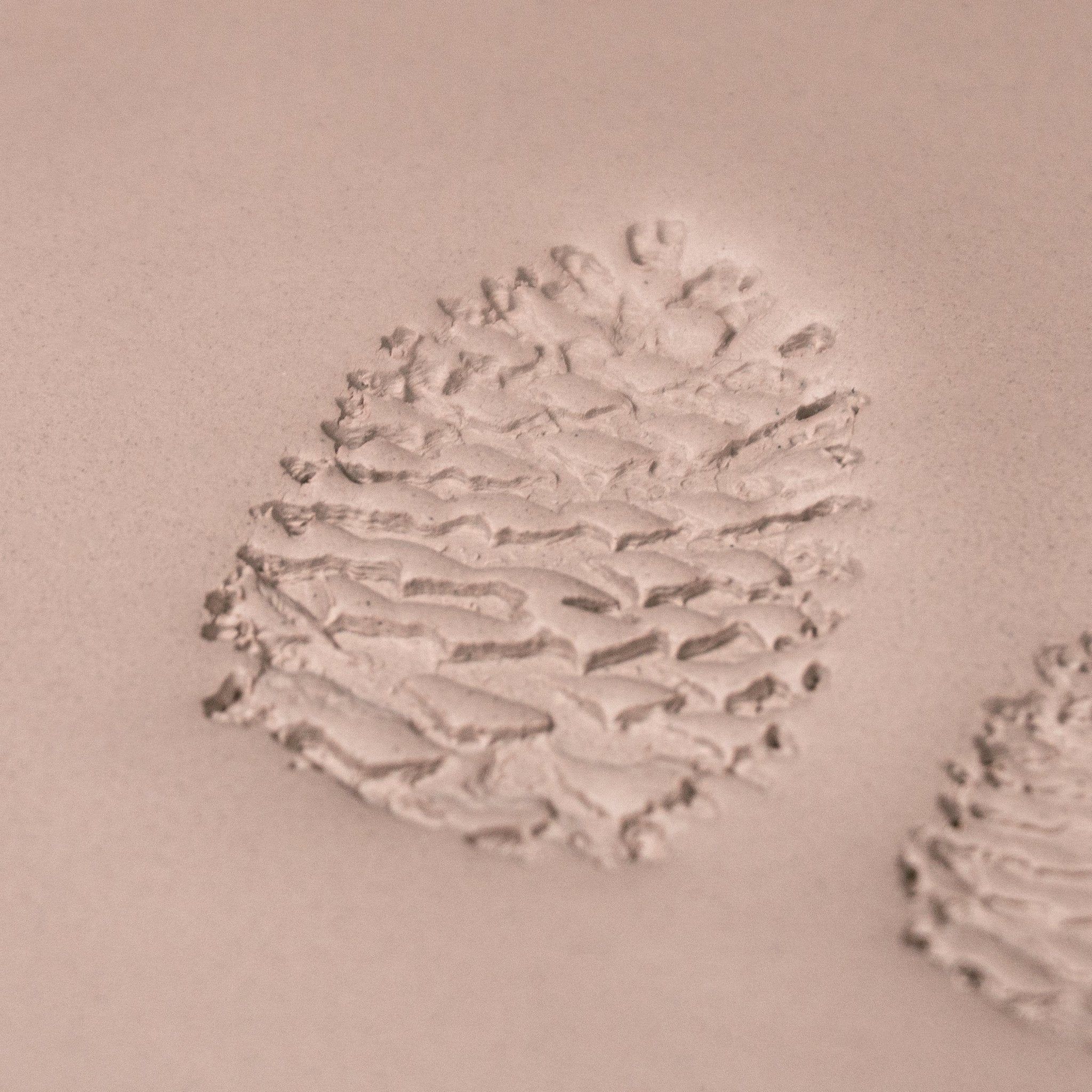 Pinecone Stamp - Photo Textured - Style 1 | Buy Online from The Home Crafters