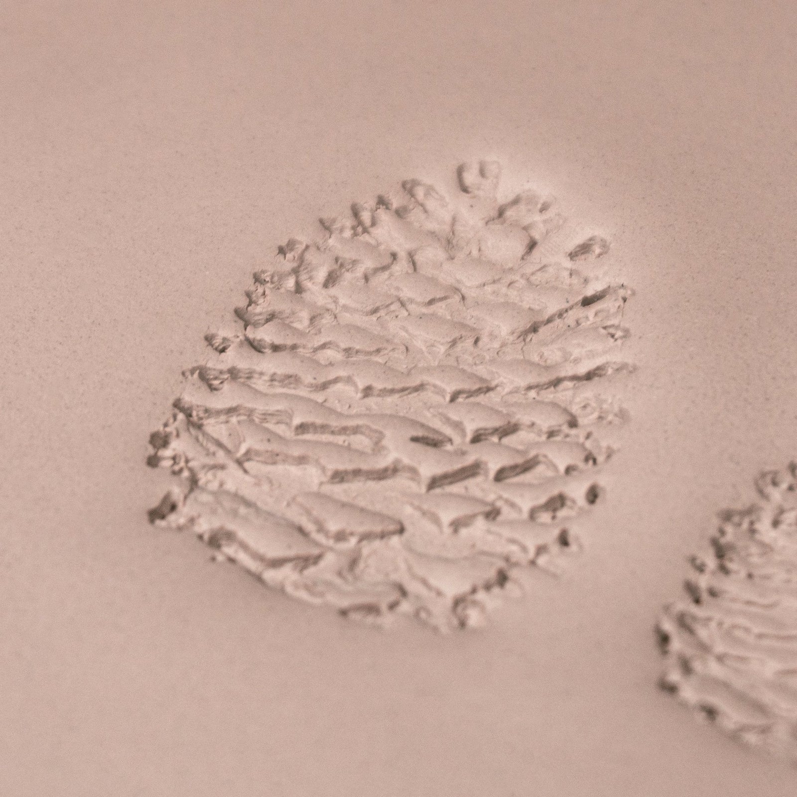 Pinecone Stamp - Photo Textured - Style 1 | Buy Online from The Home Crafters