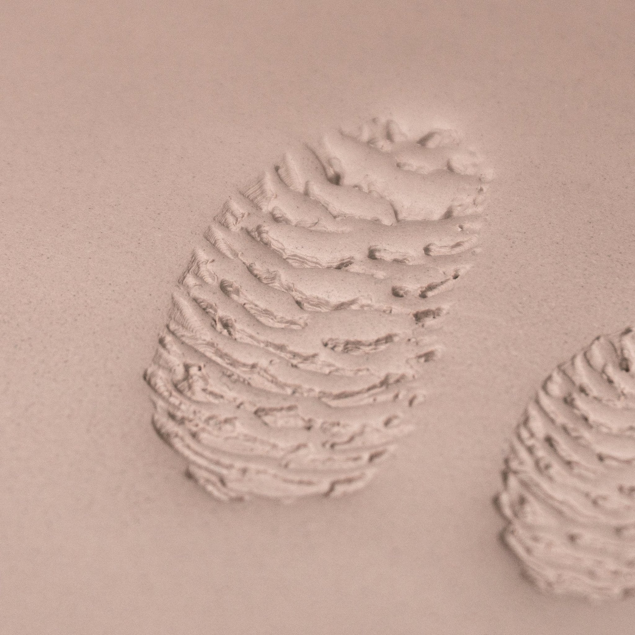 Pinecone Stamp - Photo Textured - Style 2 | Buy Online from The Home Crafters