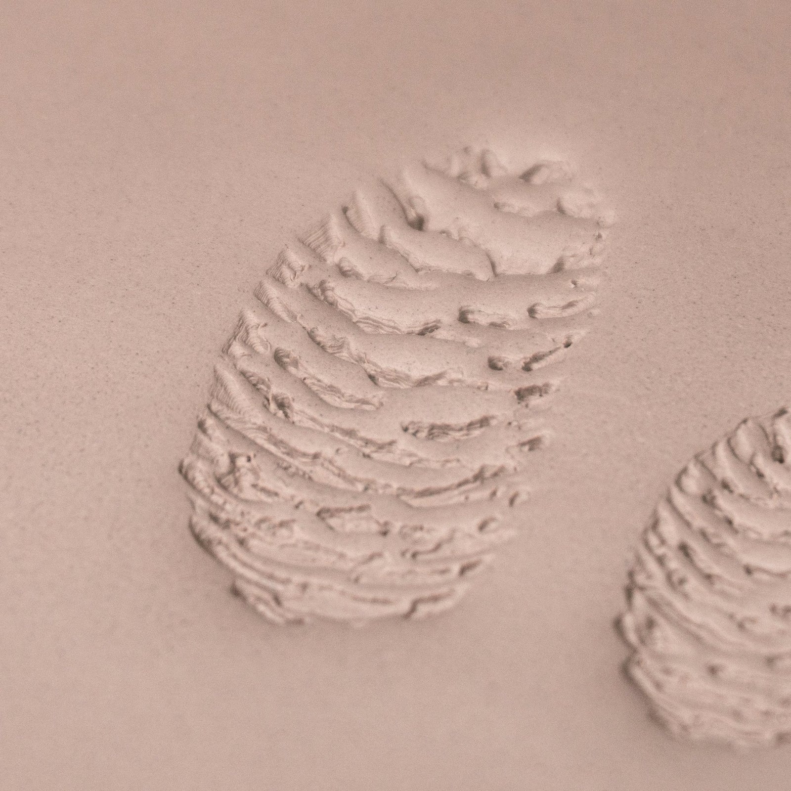 Pinecone Stamp - Photo Textured - Style 2 | Buy Online from The Home Crafters