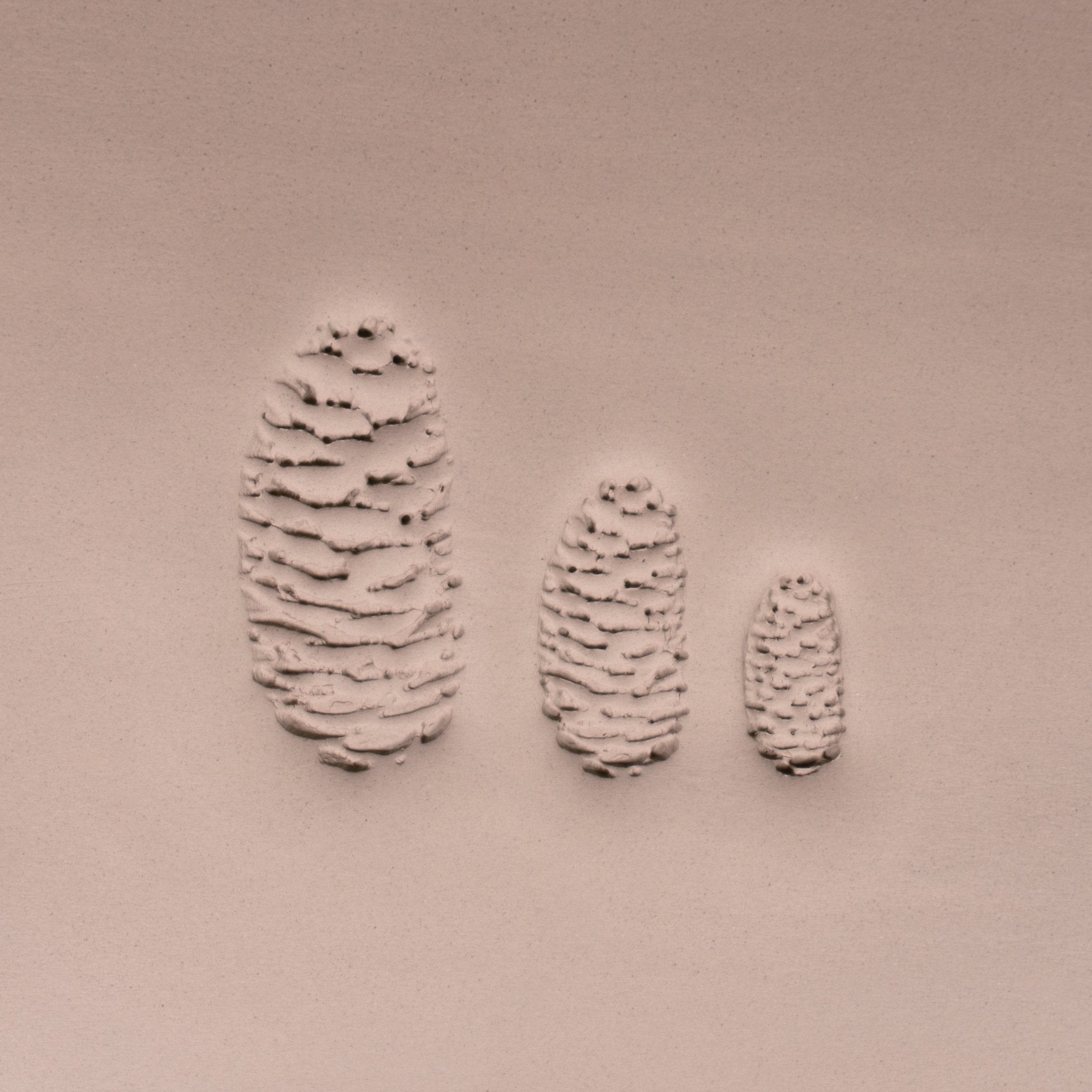 Pinecone Stamp - Photo Textured - Style 2 | Buy Online from The Home Crafters