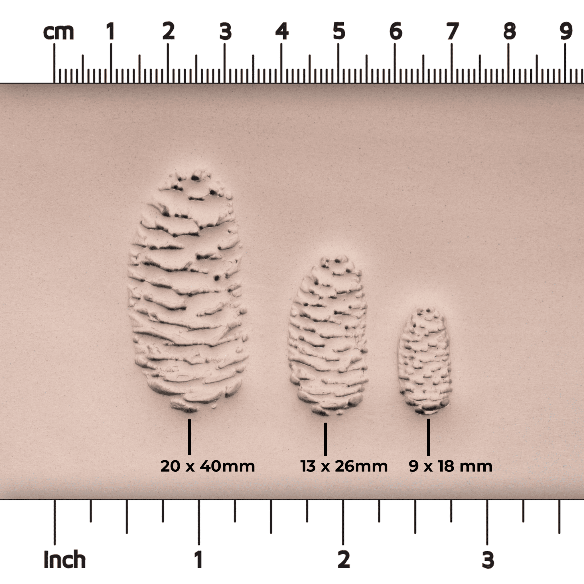 Pinecone Stamp - Photo Textured - Style 2 | Buy Online from The Home Crafters