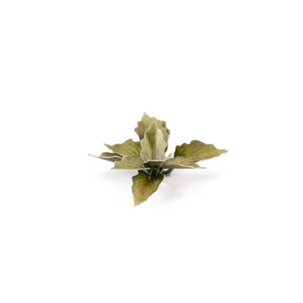 Gamers Grass Laser Plants - Plantain Lily