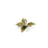 Gamers Grass Laser Plants - Plantain Lily | Buy Online from The Home Crafters