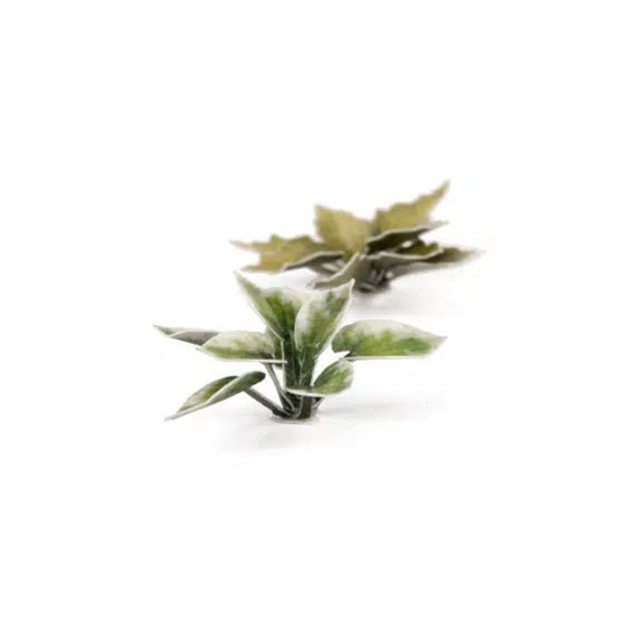 Gamers Grass Laser Plants - Plantain Lily