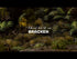 Gamers Grass Laser Plants - Bracken