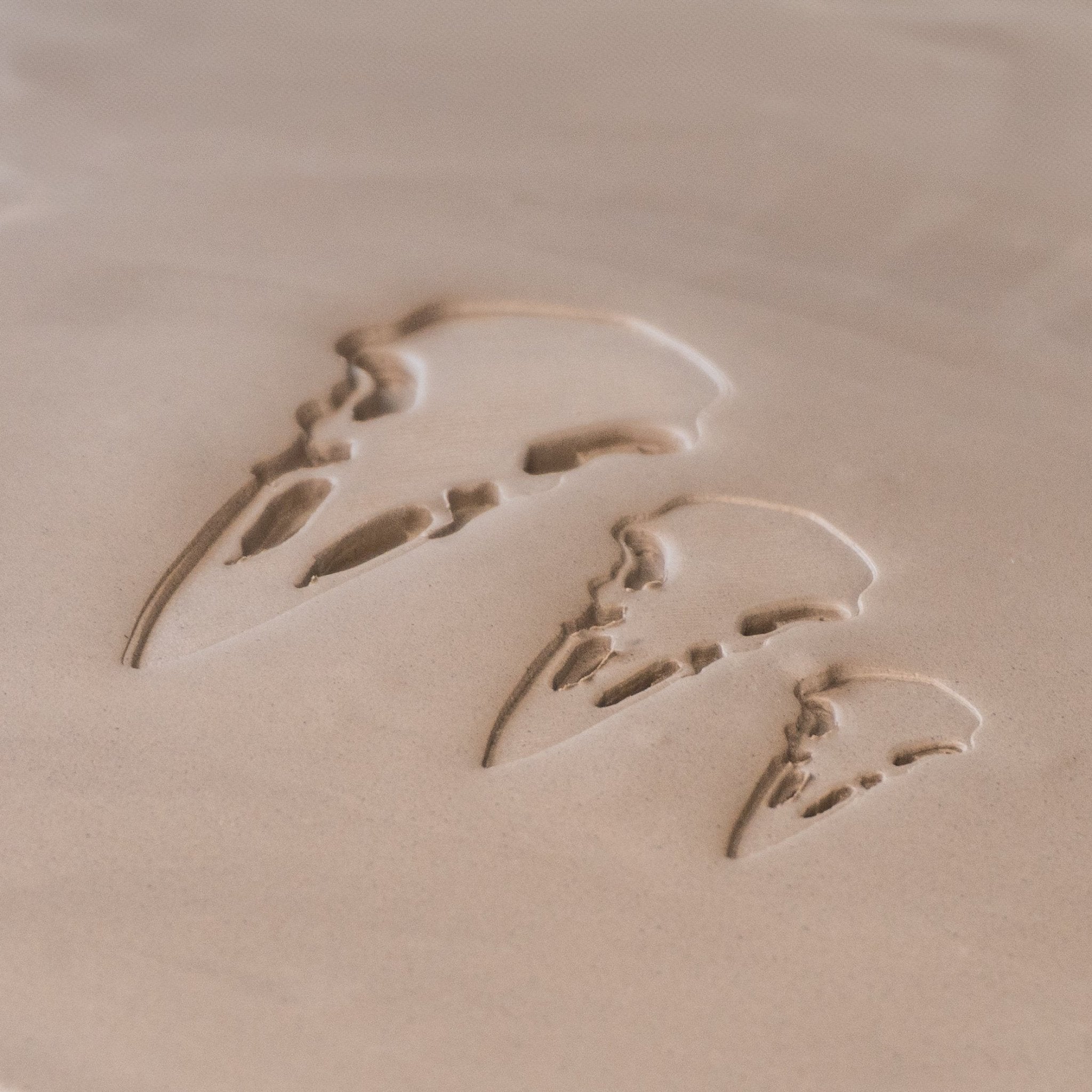 Raven Skull Stamps | Buy Online from The Home Crafters