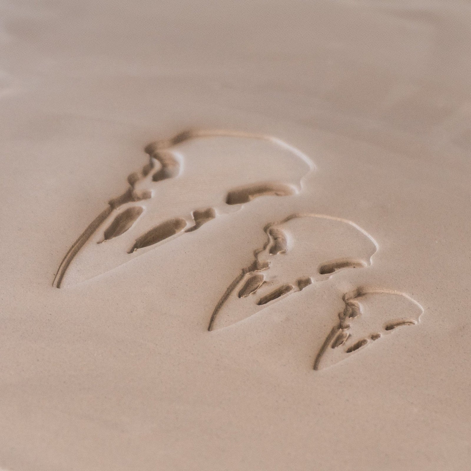 Raven Skull Stamps | Buy Online from The Home Crafters