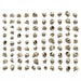 Resin Bits: Skulls & Bones - 1:48-1:35 Skulls - 85pc | Buy Online from The Home Crafters