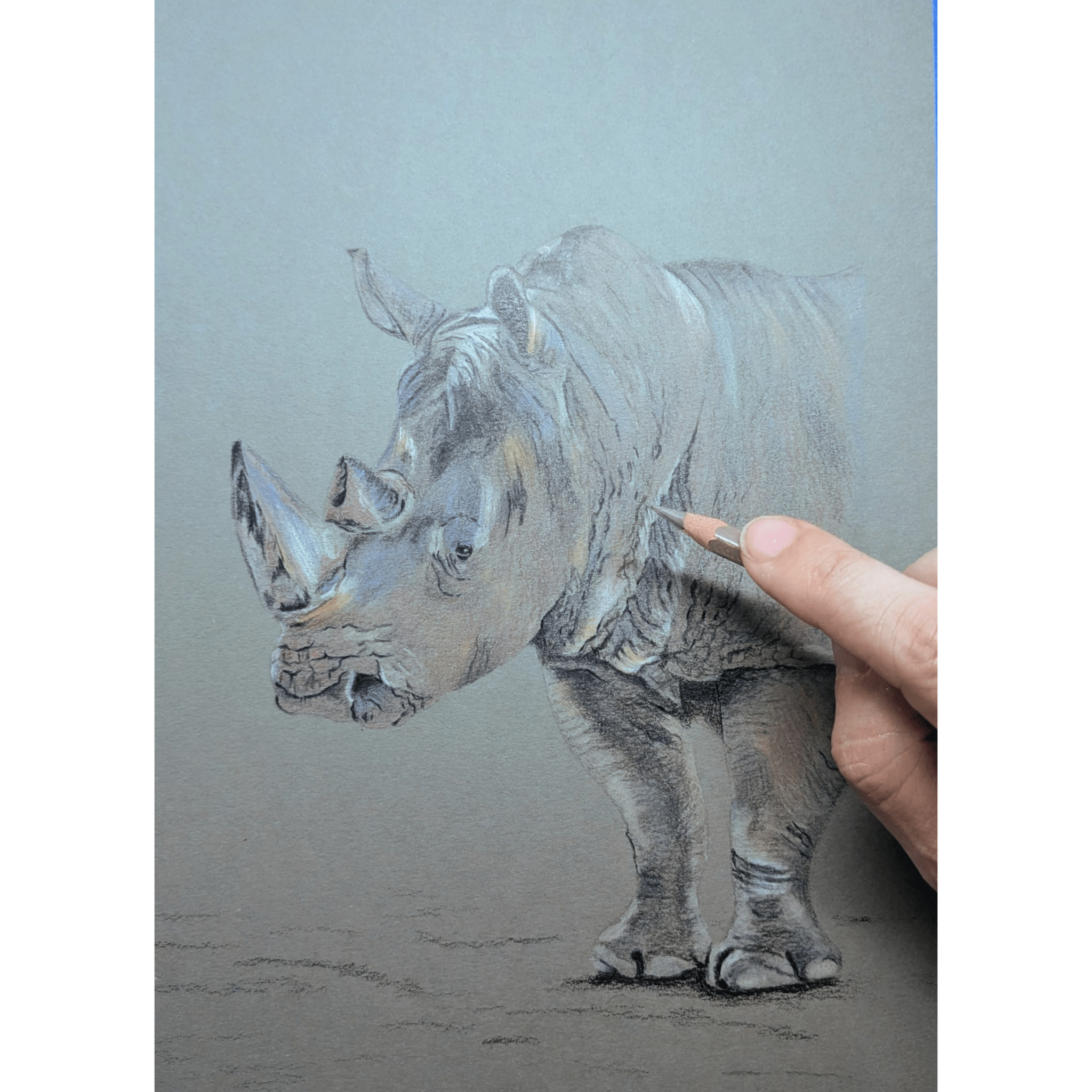 Art for Beginners - Getting Started in Coloured Pencil - monthly on a Saturday | Buy Online from The Home Crafters