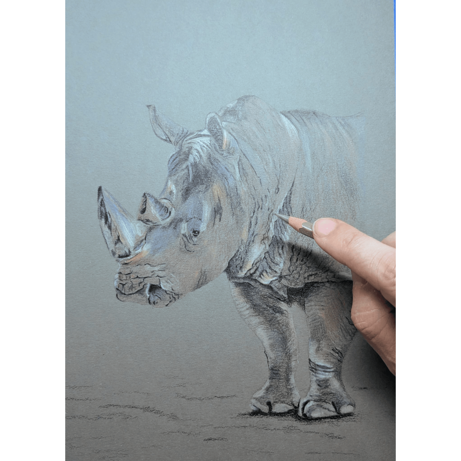 Art for Beginners - Getting Started in Coloured Pencil - monthly on a Saturday | Buy Online from The Home Crafters