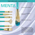 Royal & Langnickel: Menta 5 Piece Paintbrush Set with Bag | Buy Online from The Home Crafters