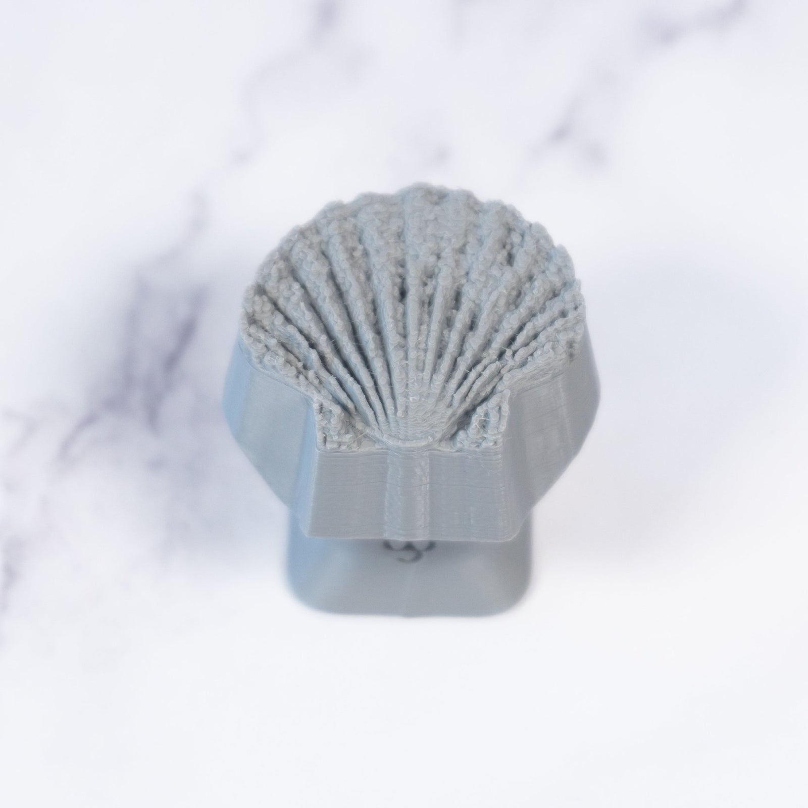 Scallop Shell Stamp - Photo Textured - Style 1 | Buy Online from The Home Crafters