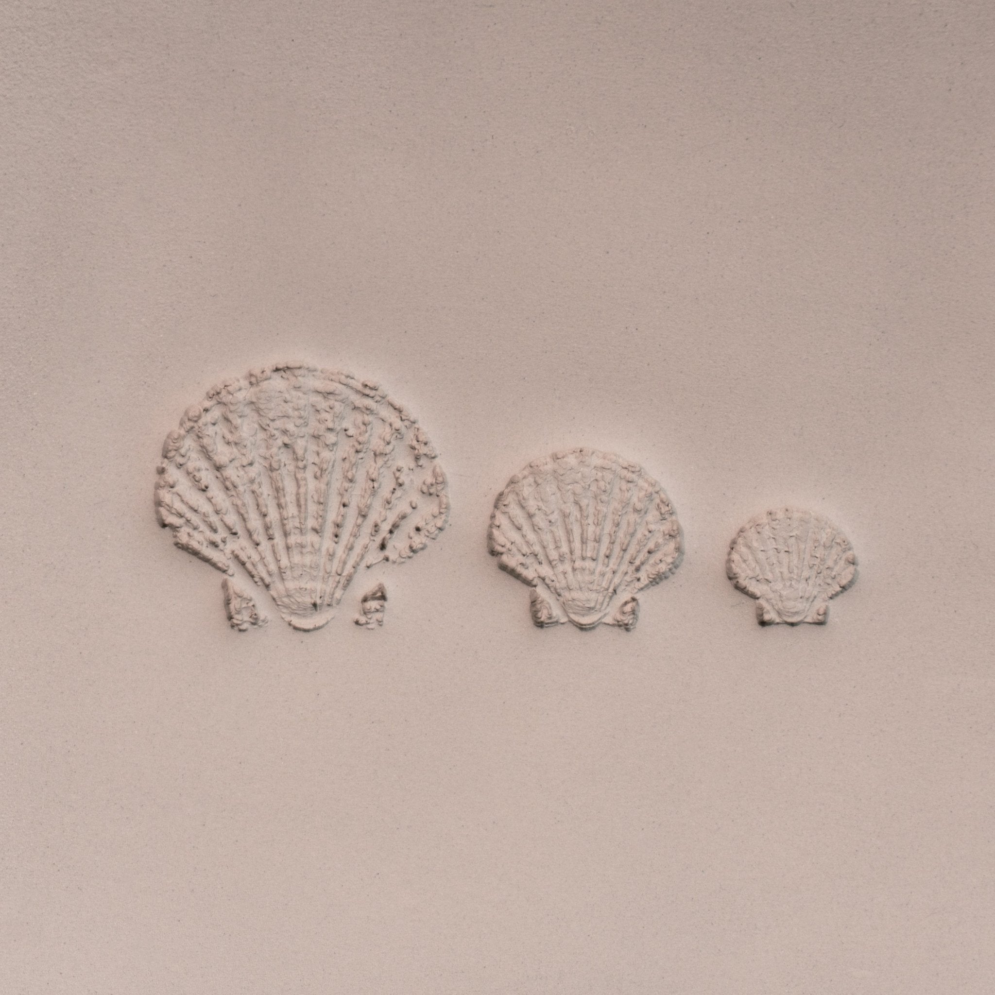 Shell Stamps Pattern Scallop Shell Stamp - Photo Textured - Style #1 - The Home Crafters ...