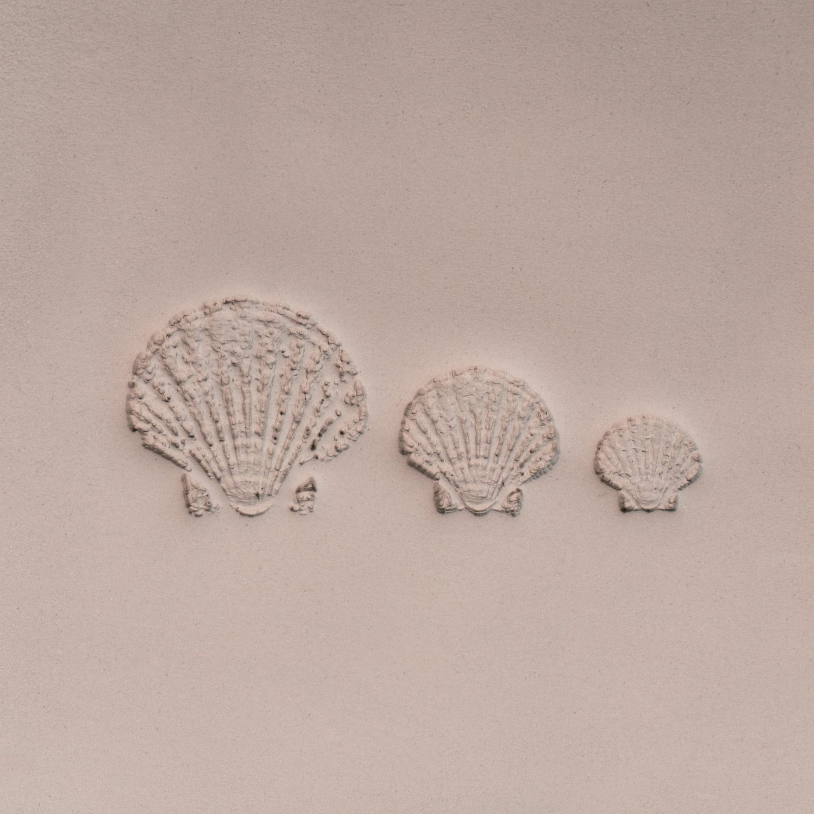 Scallop Shell Stamp - Photo Textured - Style 1 | Buy Online from The Home Crafters