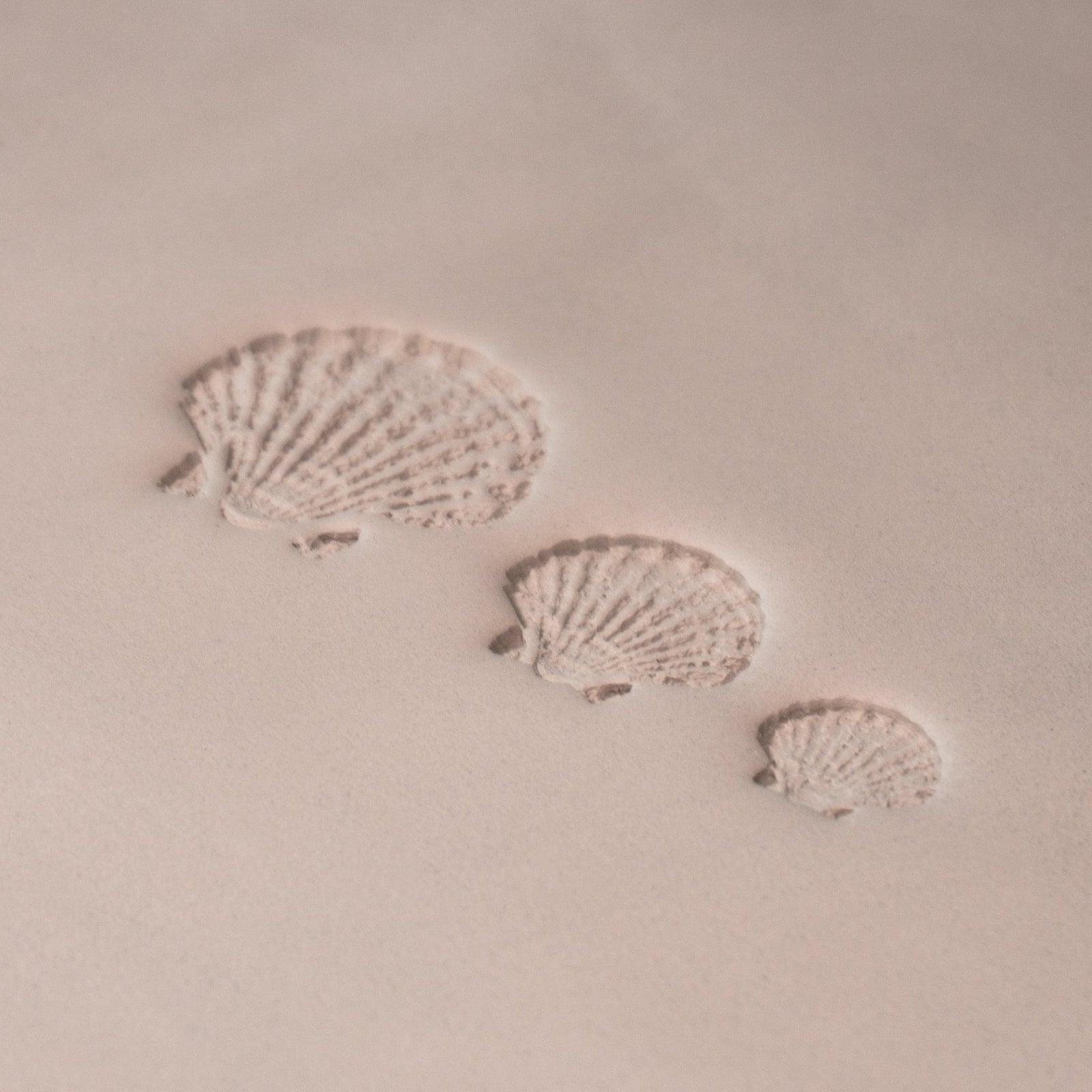 Scallop Shell Stamp - Photo Textured - Style 1 | Buy Online from The Home Crafters