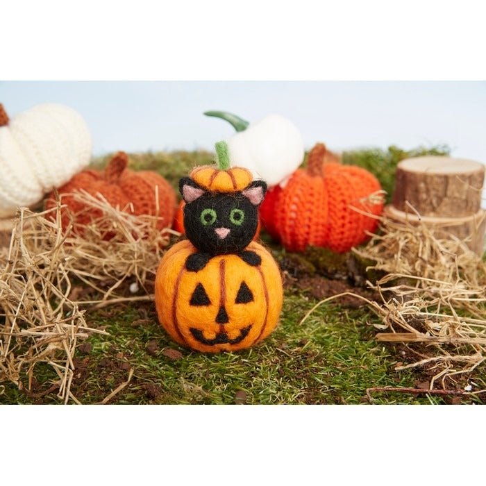 Simply Make Needle Felting Craft Kit - Cat in Pumpkin | Buy Online from The Home Crafters