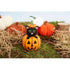 Simply Make Needle Felting Craft Kit - Cat in Pumpkin | Buy Online from The Home Crafters