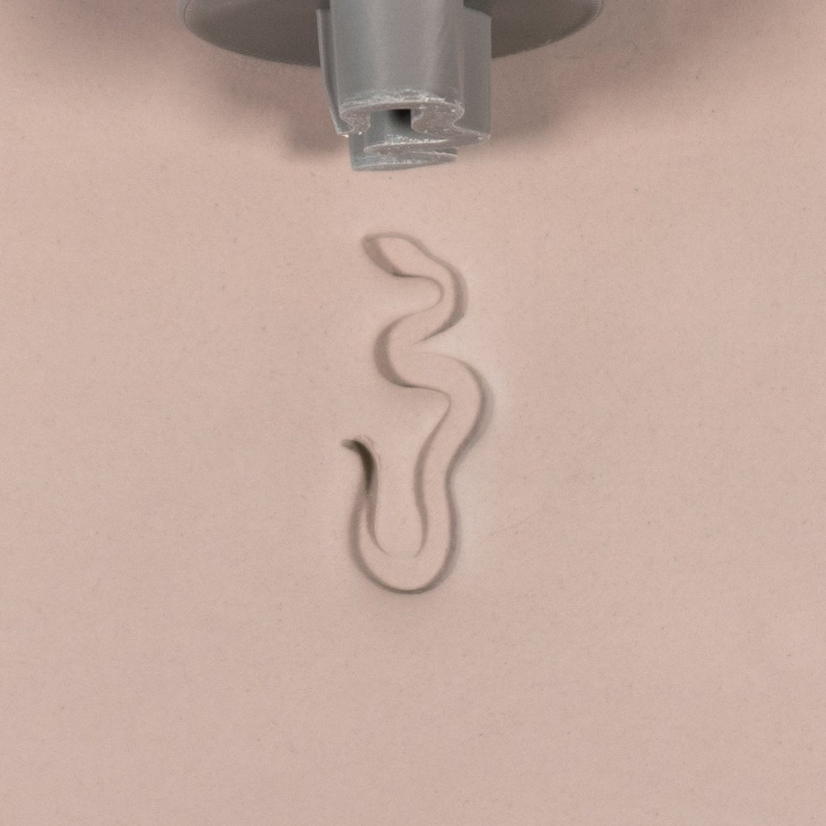 Snake Stamp Set of 6 | Buy Online from The Home Crafters