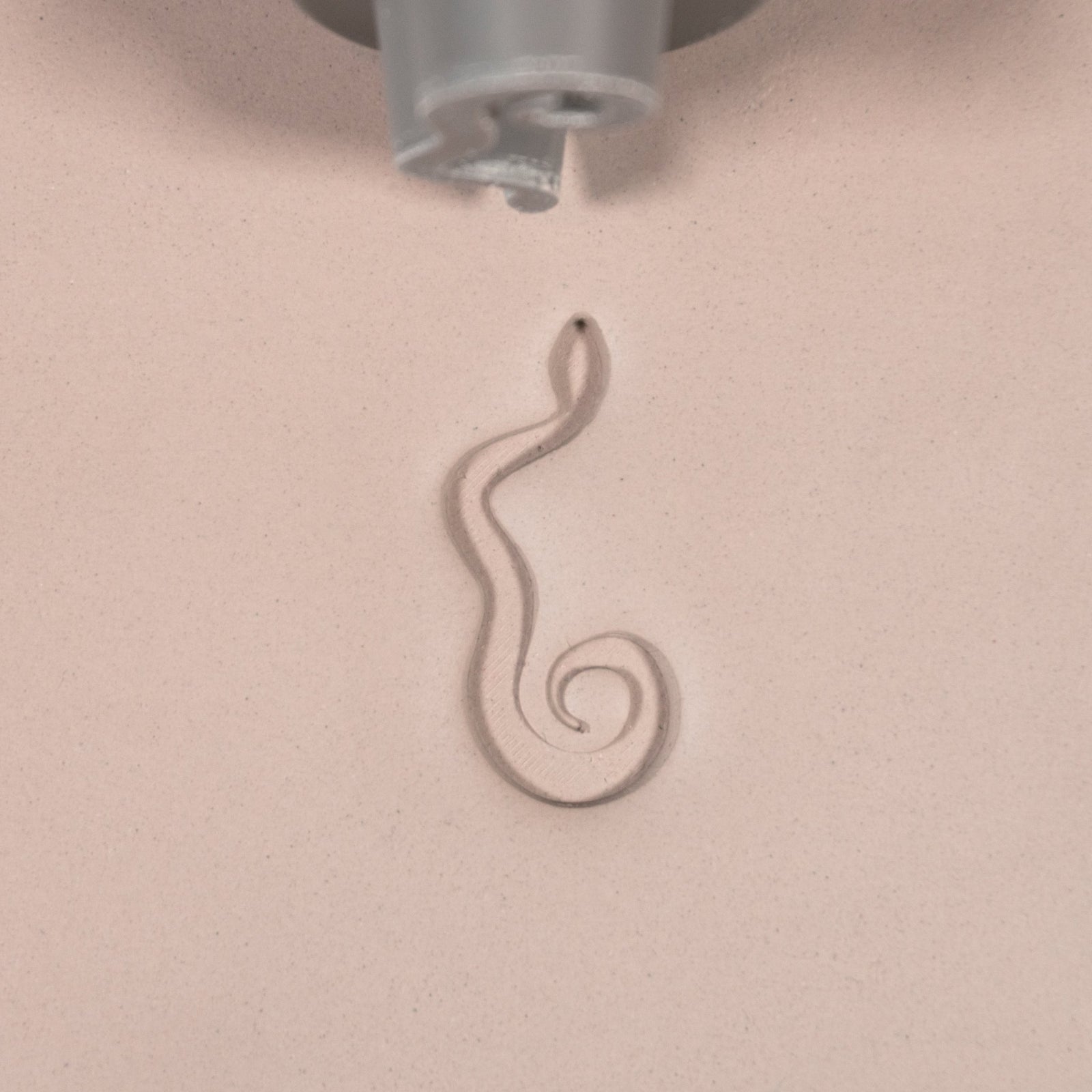 Snake Stamp Set of 6 | Buy Online from The Home Crafters