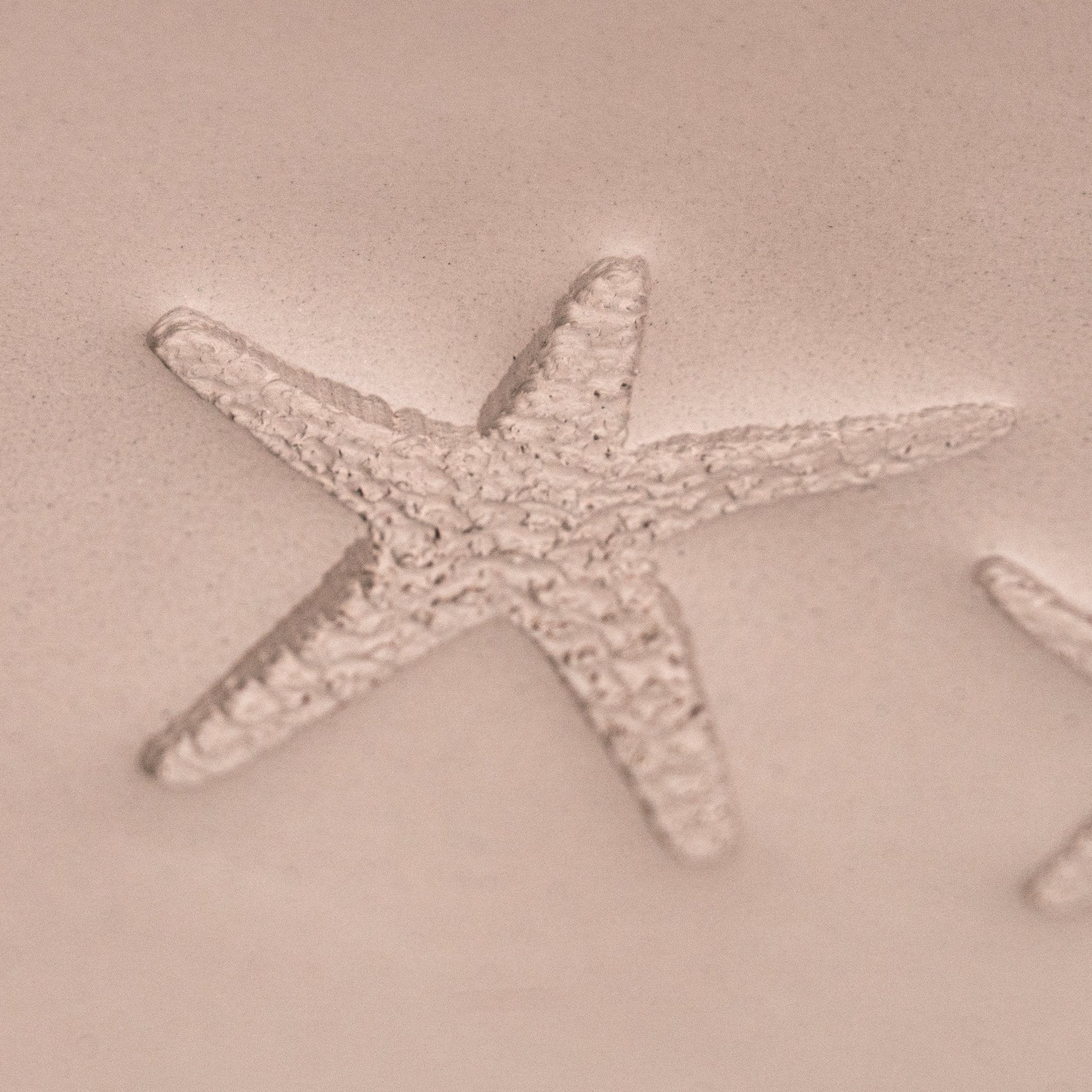 Starfish Stamp - Photo Textured - Style 1 | Buy Online from The Home Crafters