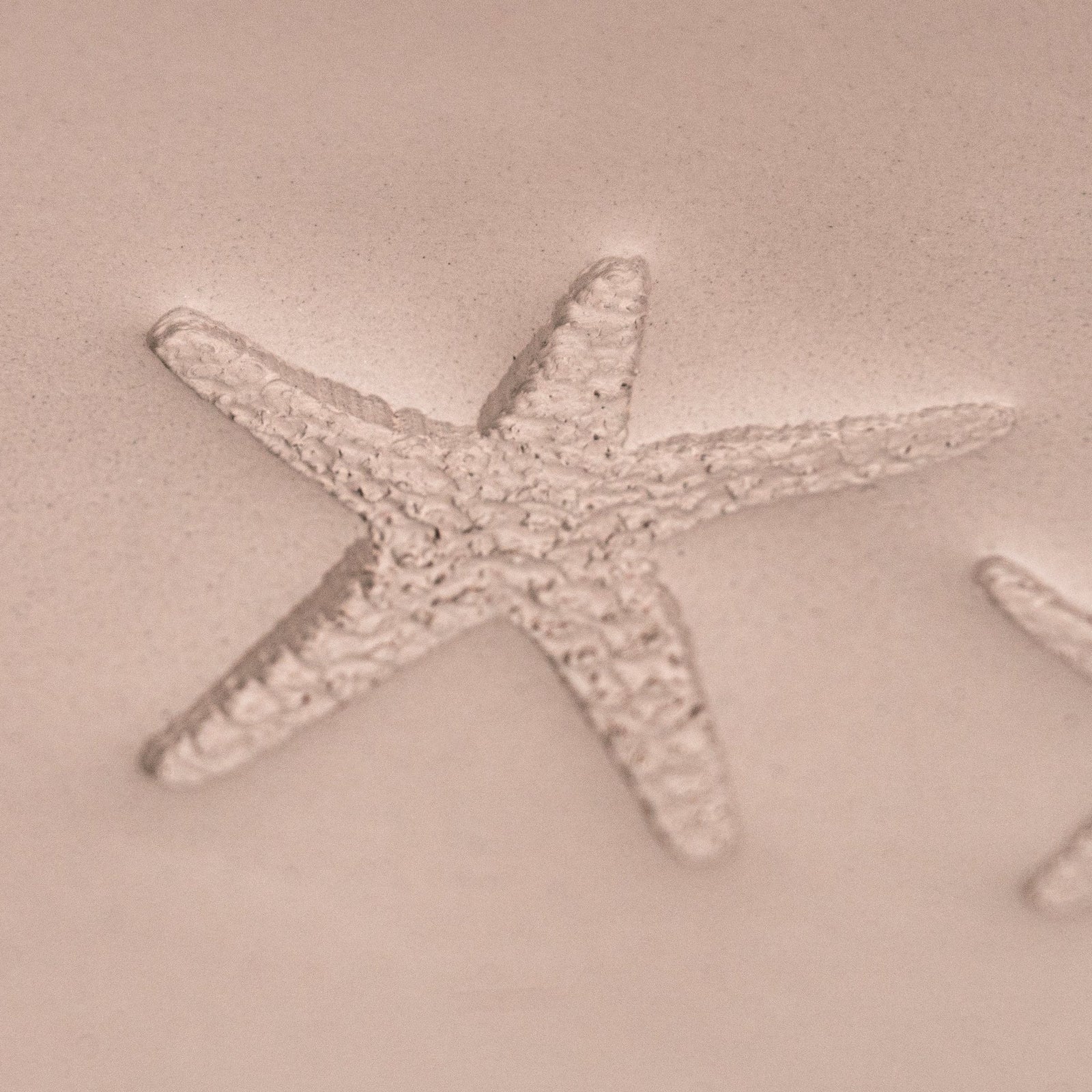 Starfish Stamp - Photo Textured - Style 1 | Buy Online from The Home Crafters