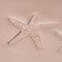 Starfish Stamp - Photo Textured - Style 1 | Buy Online from The Home Crafters