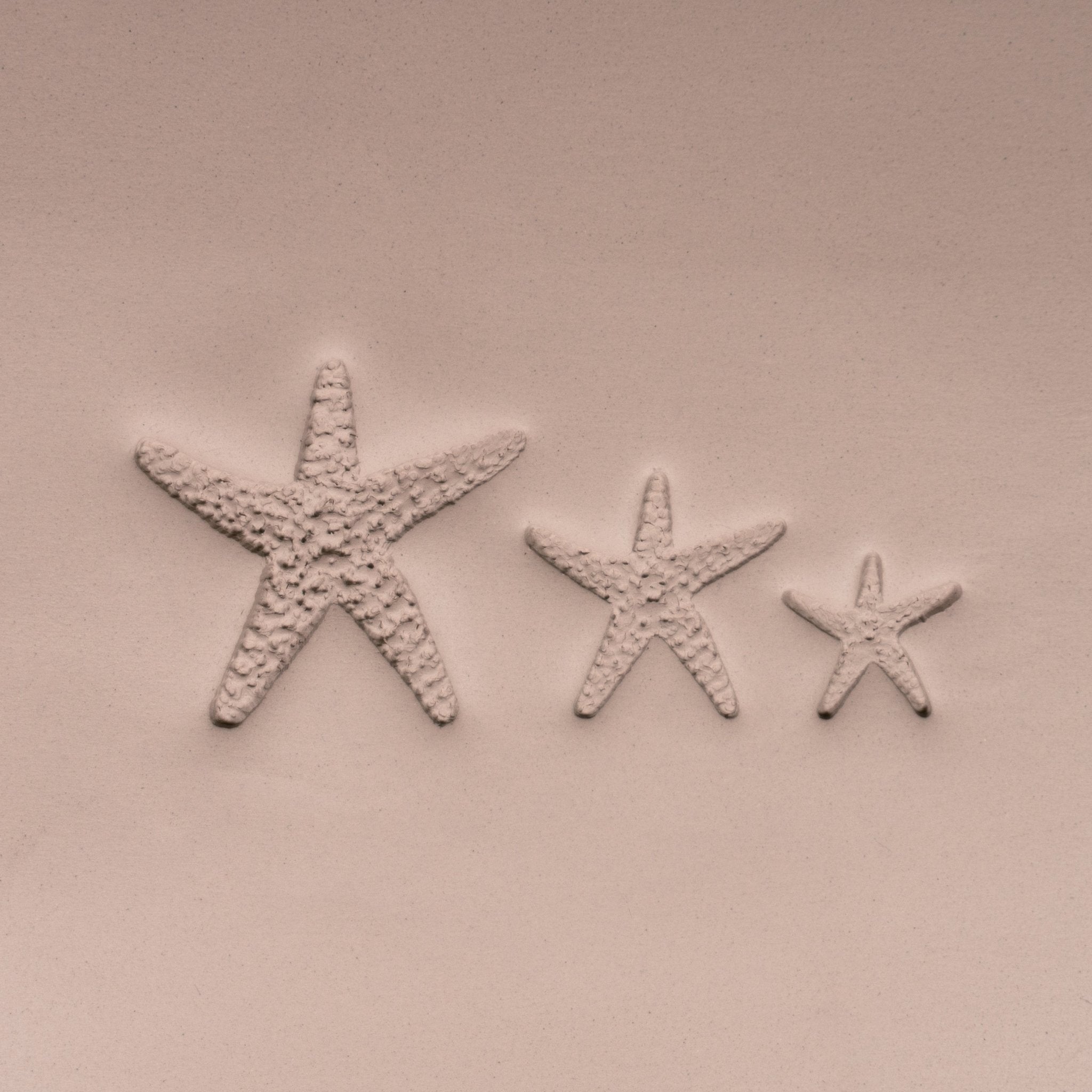 Starfish Stamp - Photo Textured - Style 1 | Buy Online from The Home Crafters