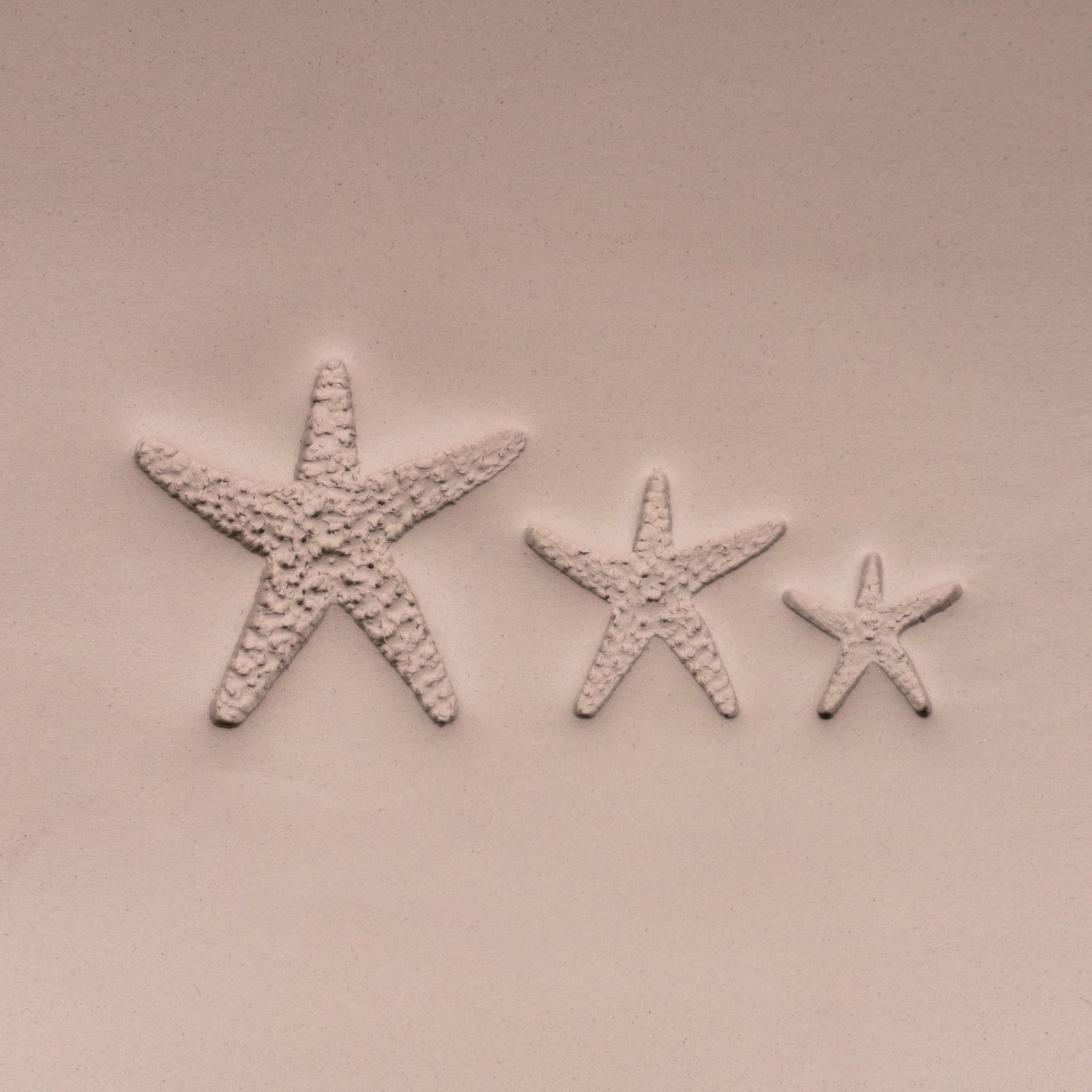 Starfish Stamp - Photo Textured - Style 1 | Buy Online from The Home Crafters