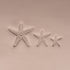 Starfish Stamp - Photo Textured - Style 1 | Buy Online from The Home Crafters