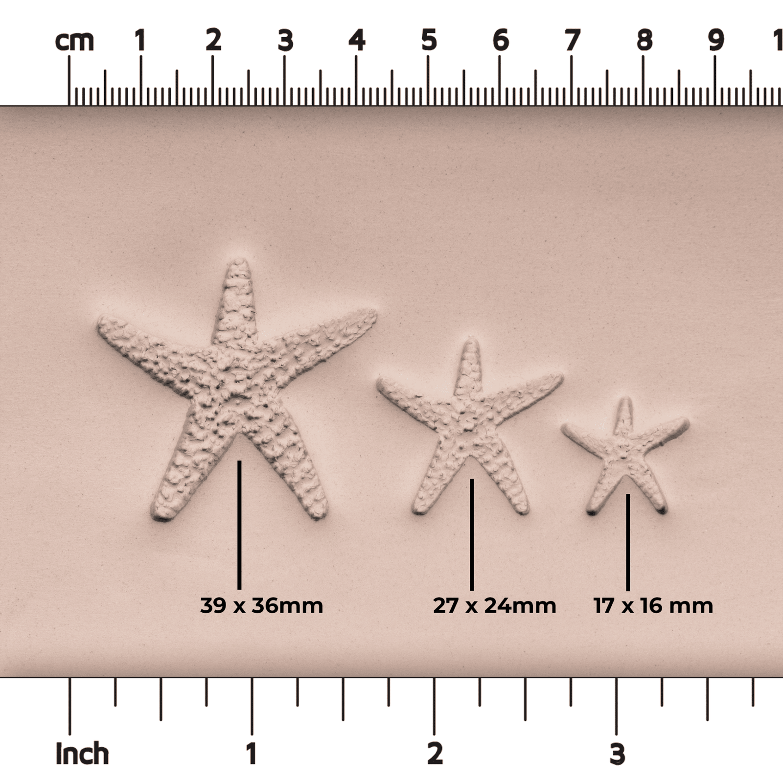 Starfish Stamp - Photo Textured - Style 1 | Buy Online from The Home Crafters