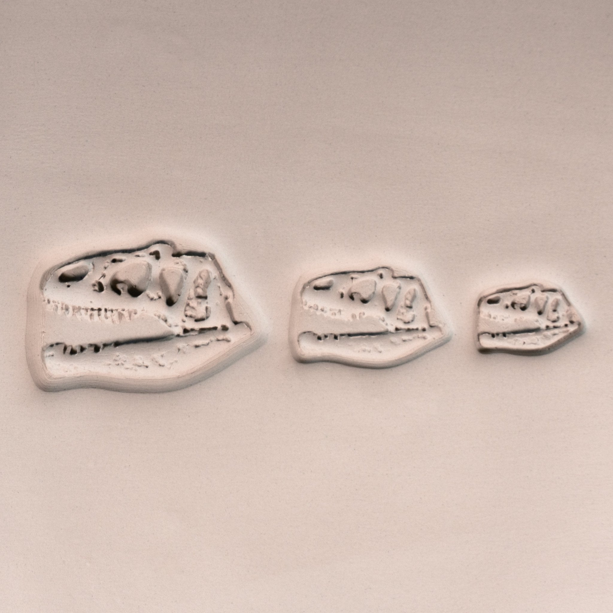 T - Rex Dinosaur Skull Fossil Stamp - Photo Textured - Style 1 | Buy Online from The Home Crafters