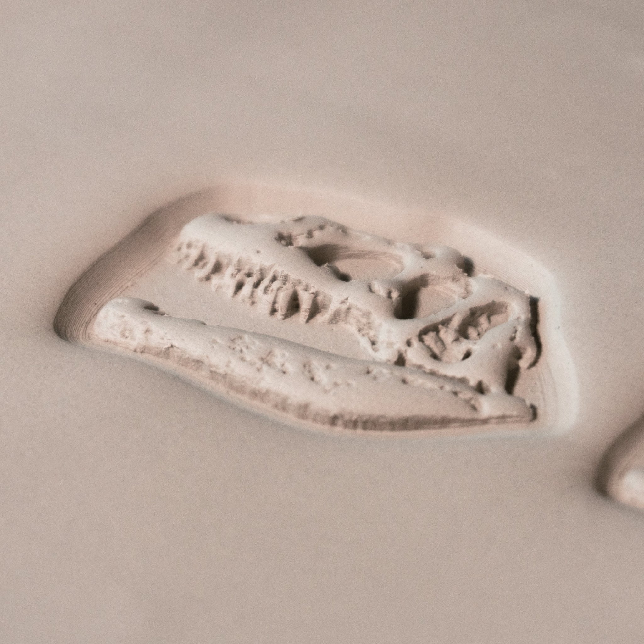 T - Rex Dinosaur Skull Fossil Stamp - Photo Textured - Style 1 | Buy Online from The Home Crafters