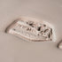 T - Rex Dinosaur Skull Fossil Stamp - Photo Textured - Style 1 | Buy Online from The Home Crafters